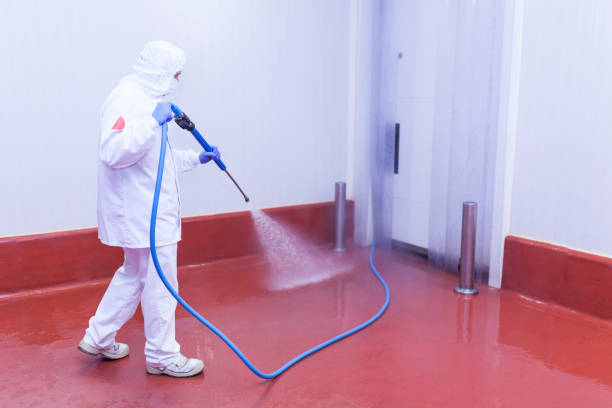 Best Soft Washing for Delicate Surfaces in Natchez, MS